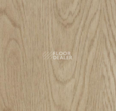 Кварцвиниловые полы Forbo Allura Click 60064CL5 whitewash elegant oak фото 1 | FLOORDEALER